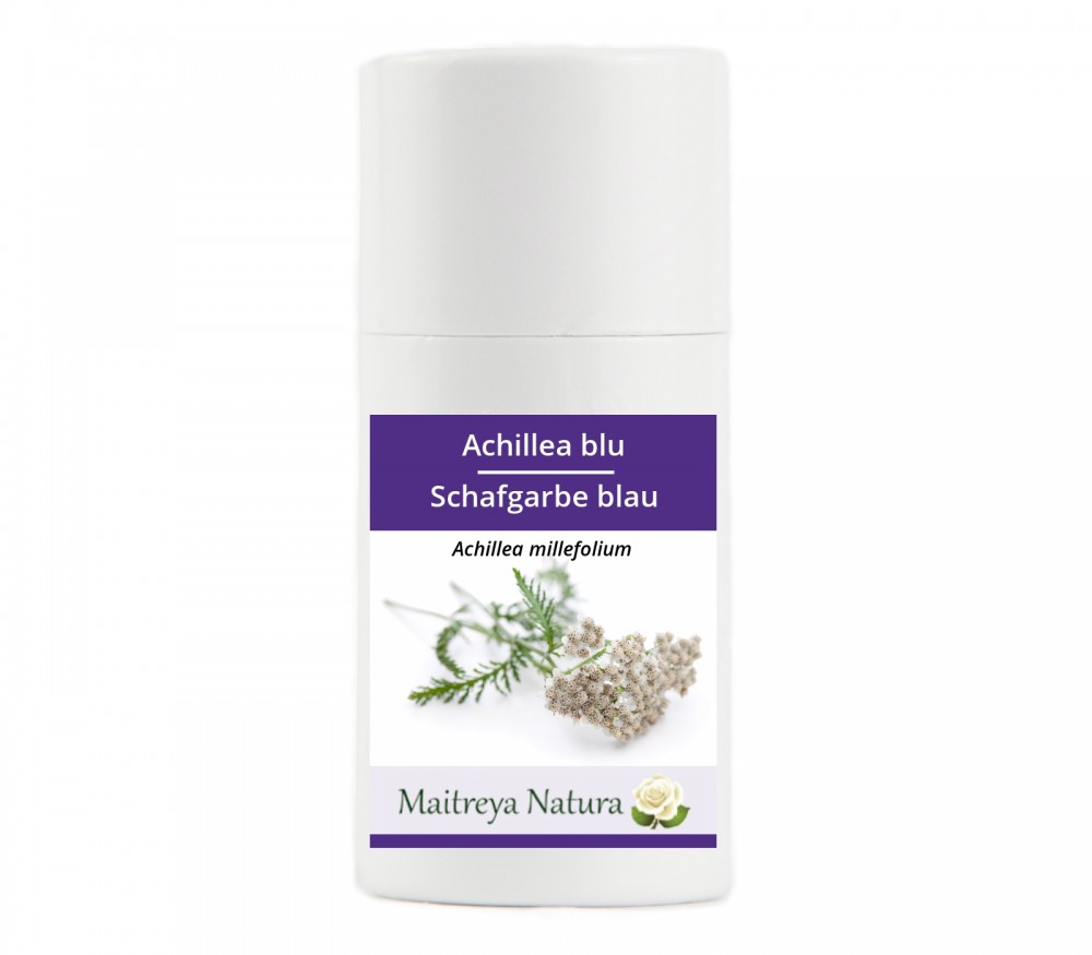 Vendita online: Achillea blu Vendita online: Achillea blu