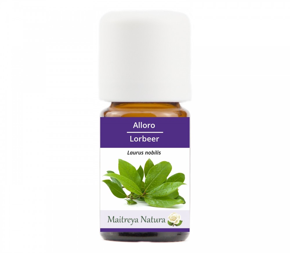 Vendita online: Alloro Vendita online: Alloro