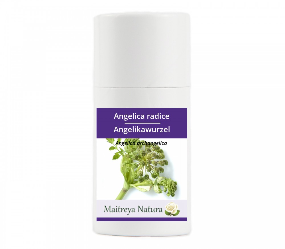 Vendita online: Angelica radice Vendita online: Angelica radice