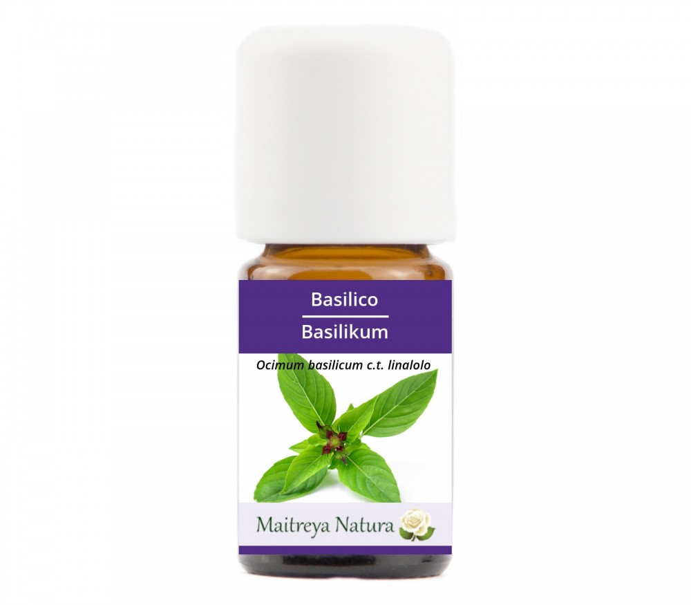 Vendita online: Basilico Vendita online: Basilico