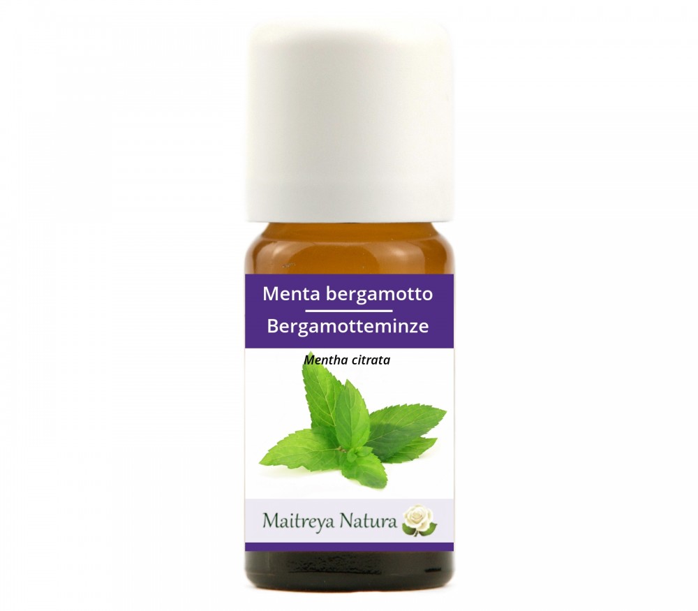 Vendita online: Menta bergamotto Vendita online: Menta bergamotto