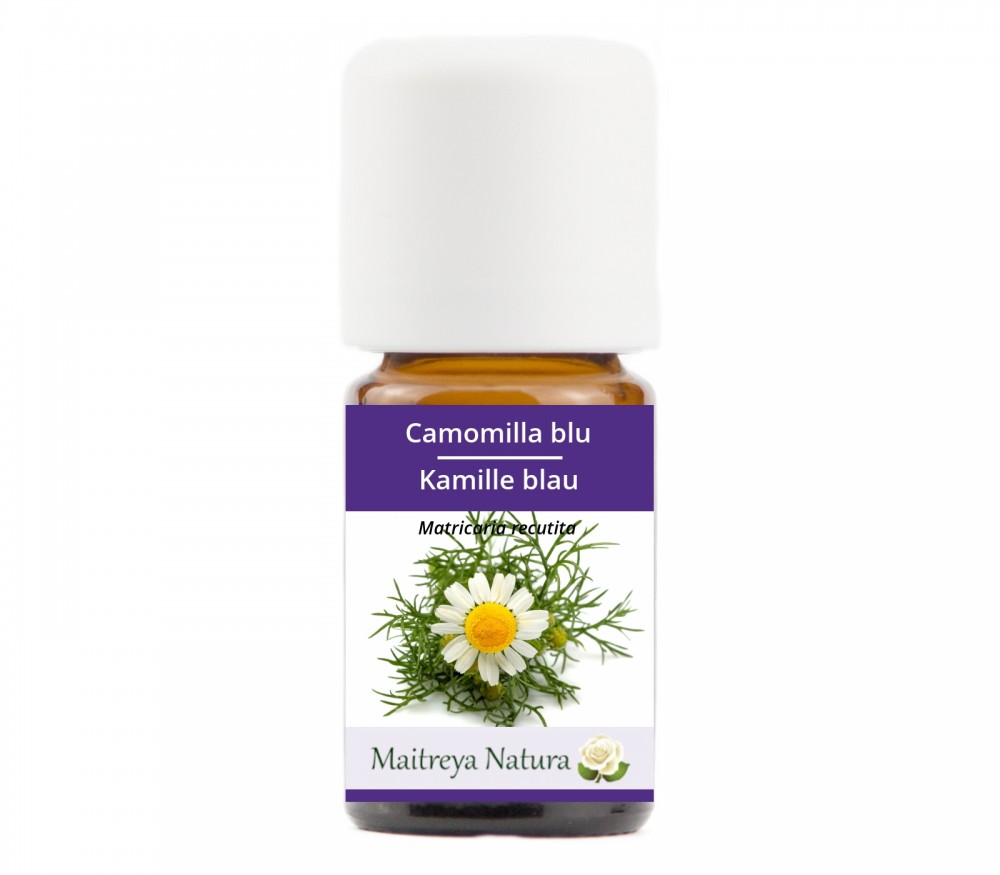 Vendita online: Camomilla blu Vendita online: Camomilla blu