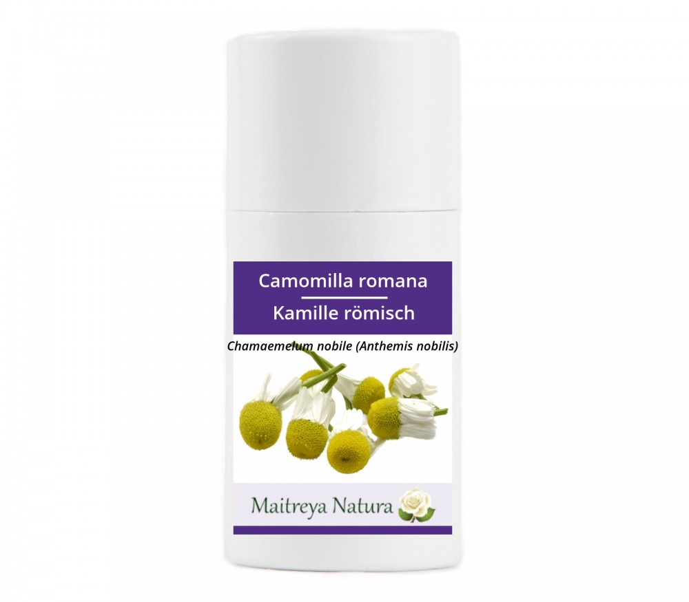 Vendita online: Camomilla romana Vendita online: Camomilla romana