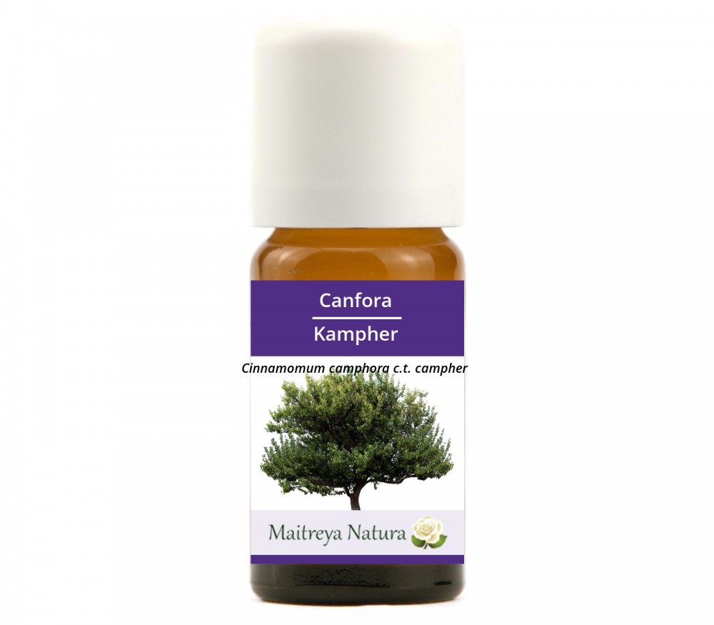 Vendita online: Canfora Vendita online: Canfora