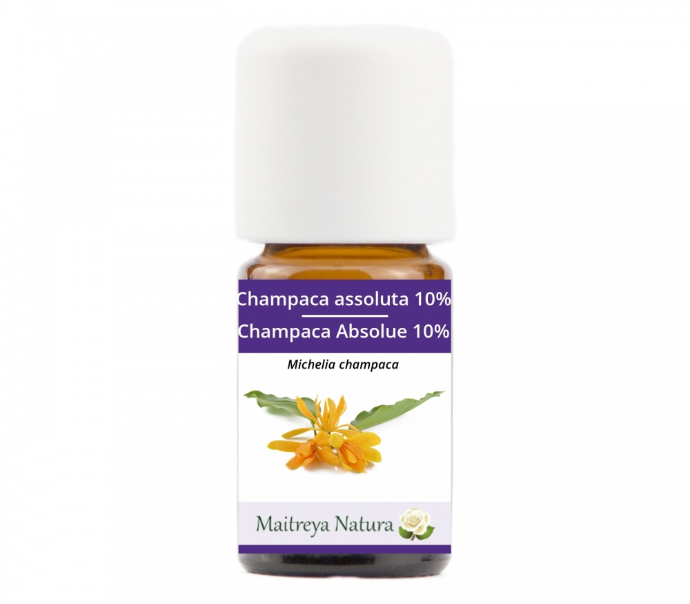 Vendita online: Champaca Assoluta 10% Vendita online: Champaca Assoluta 10%