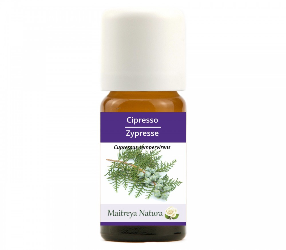 Vendita online: Cipresso Vendita online: Cipresso