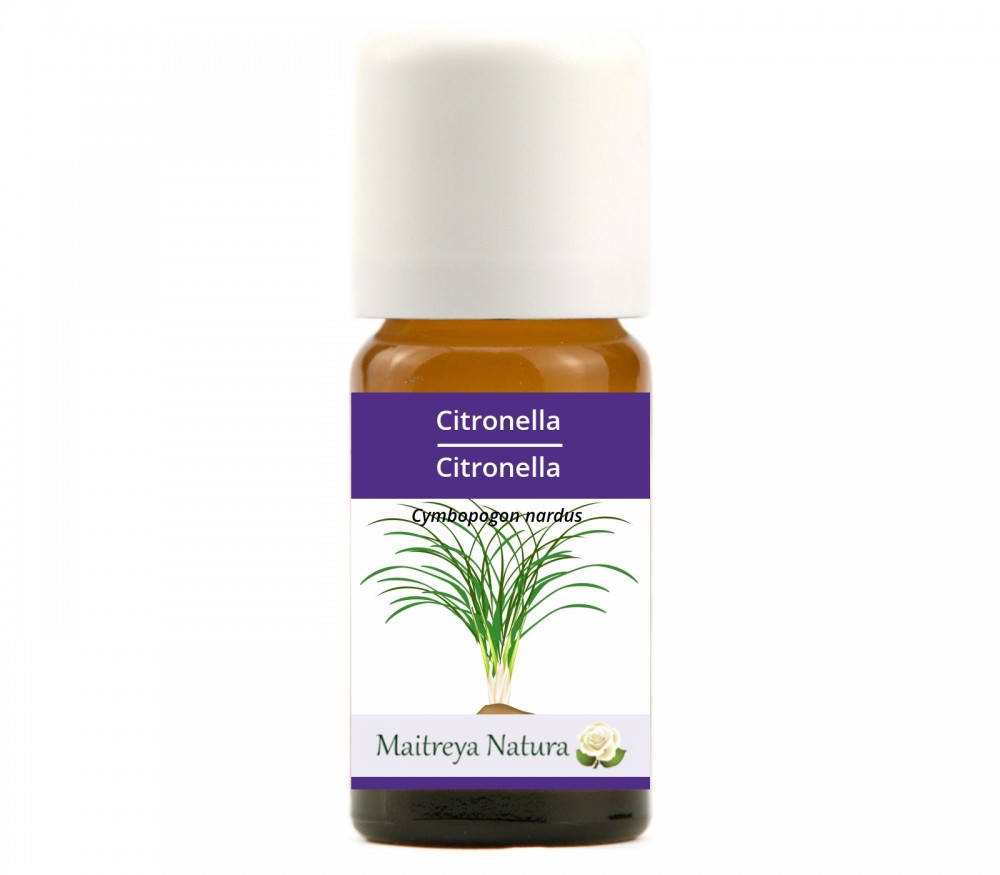 Vendita online: Citronella Vendita online: Citronella