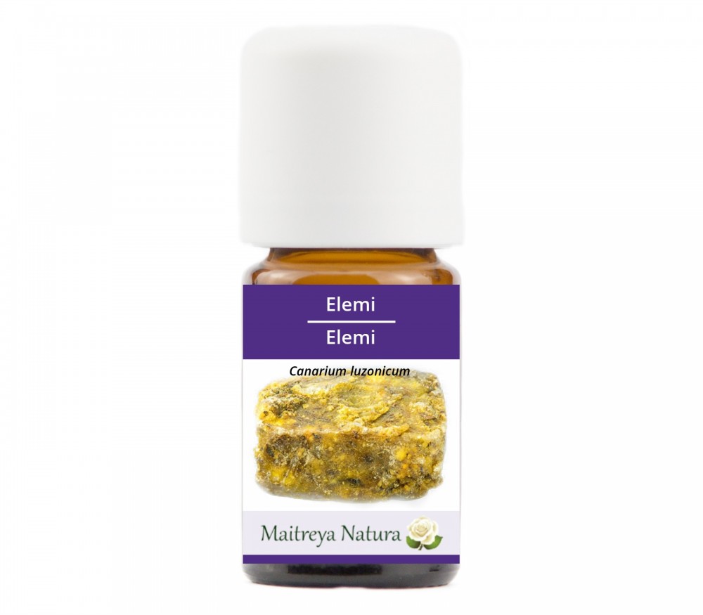 Vendita online: Elemi Vendita online: Elemi