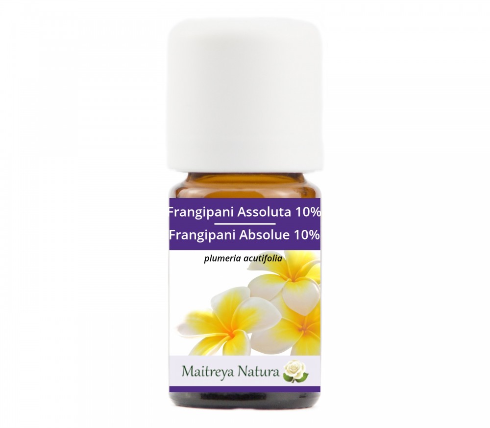 Vendita online: Frangipani Assoluta 10% Vendita online: Frangipani Assoluta 10%