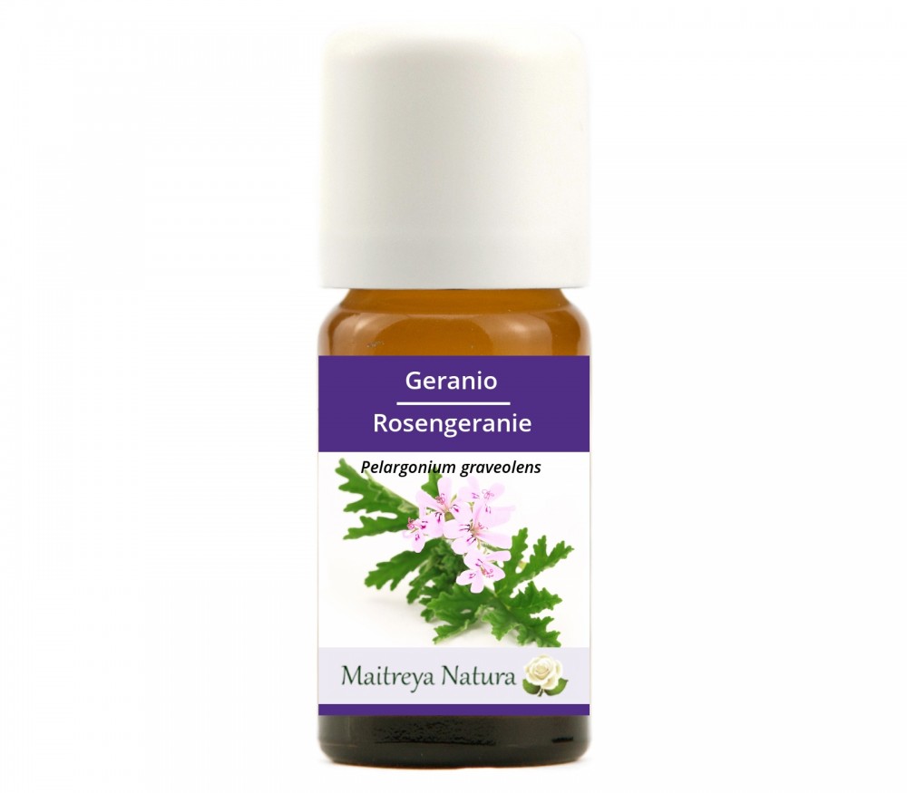 Vendita online: Geranio Vendita online: Geranio