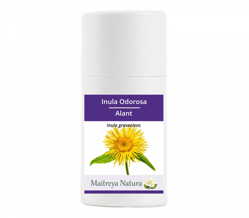 Vendita online: Inula Odorosa Vendita online: Inula Odorosa