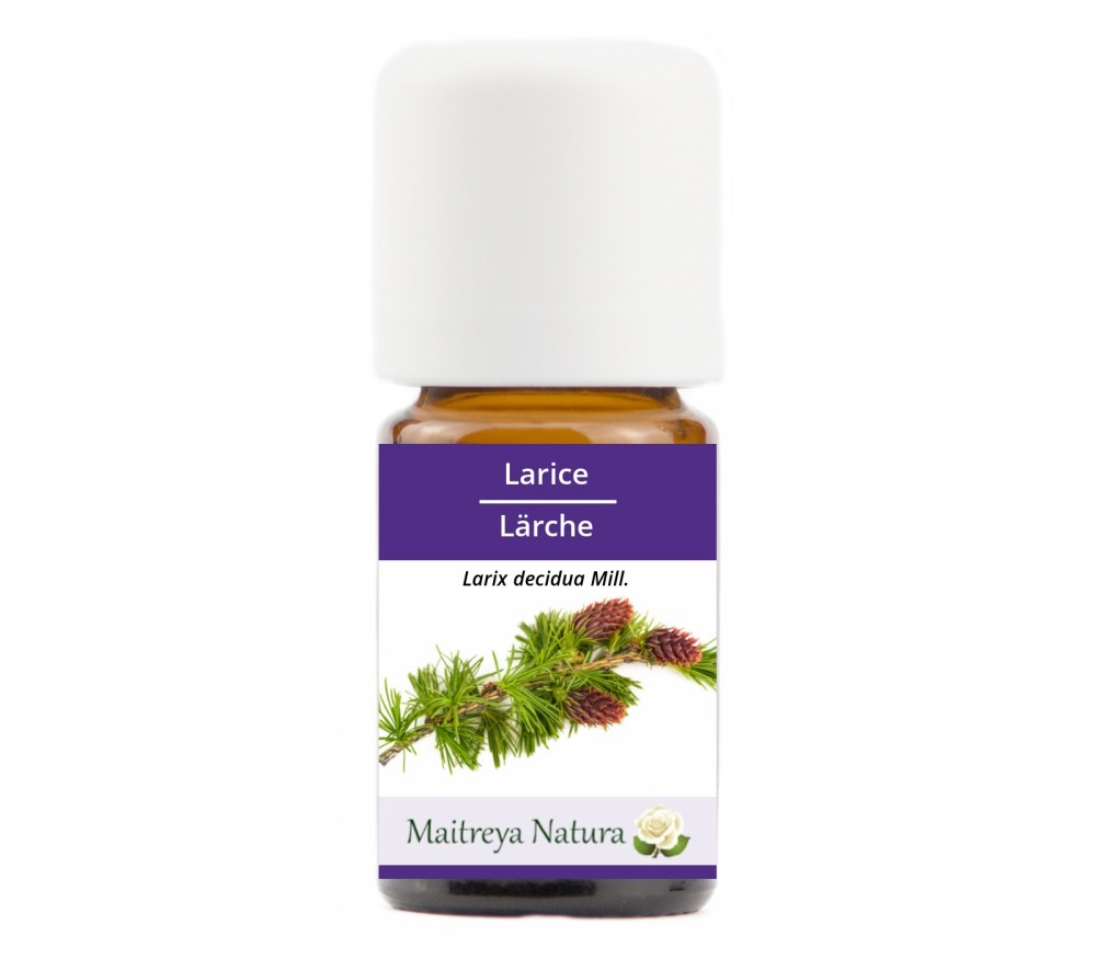 Vendita online: Larice Vendita online: Larice