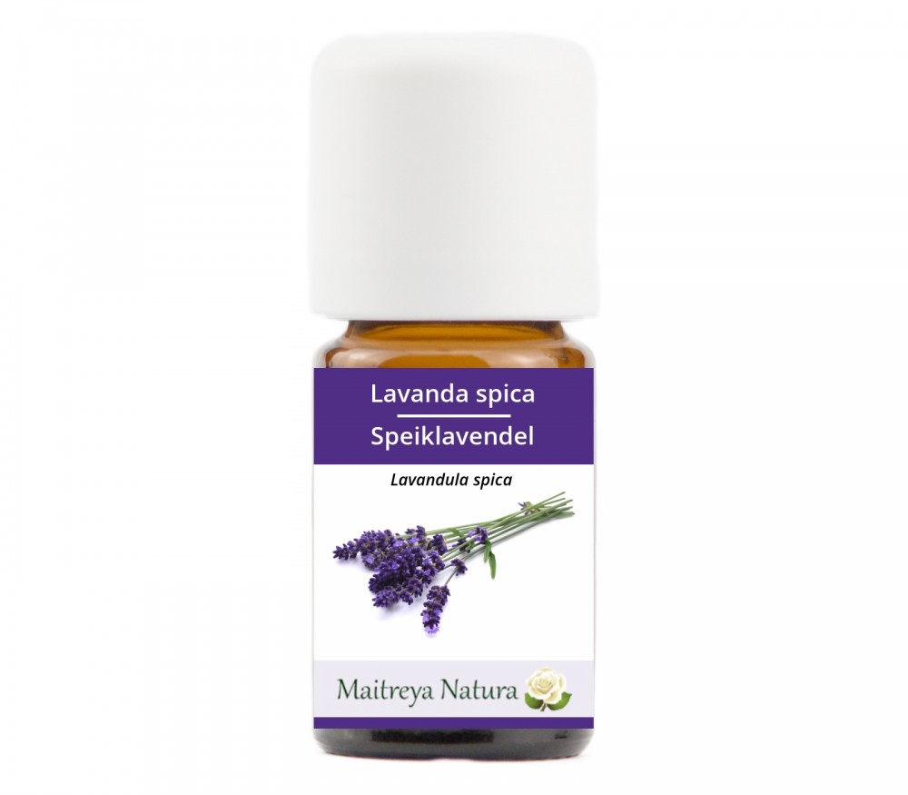 Vendita online: Lavanda spica Vendita online: Lavanda spica