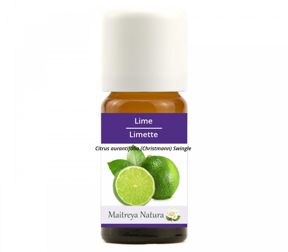 Vendita online: Limetta Vendita online: Limetta