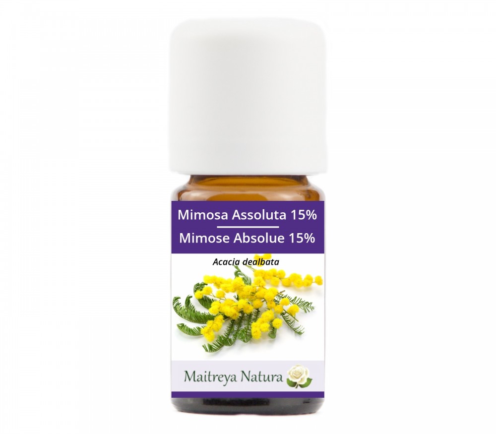 Vendita online: Mimosa Assoluta 15% Vendita online: Mimosa Assoluta 15%