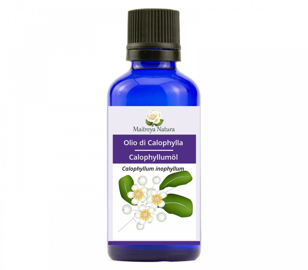 Vendita online: Olio di Calophylla Vendita online: Olio di Calophylla