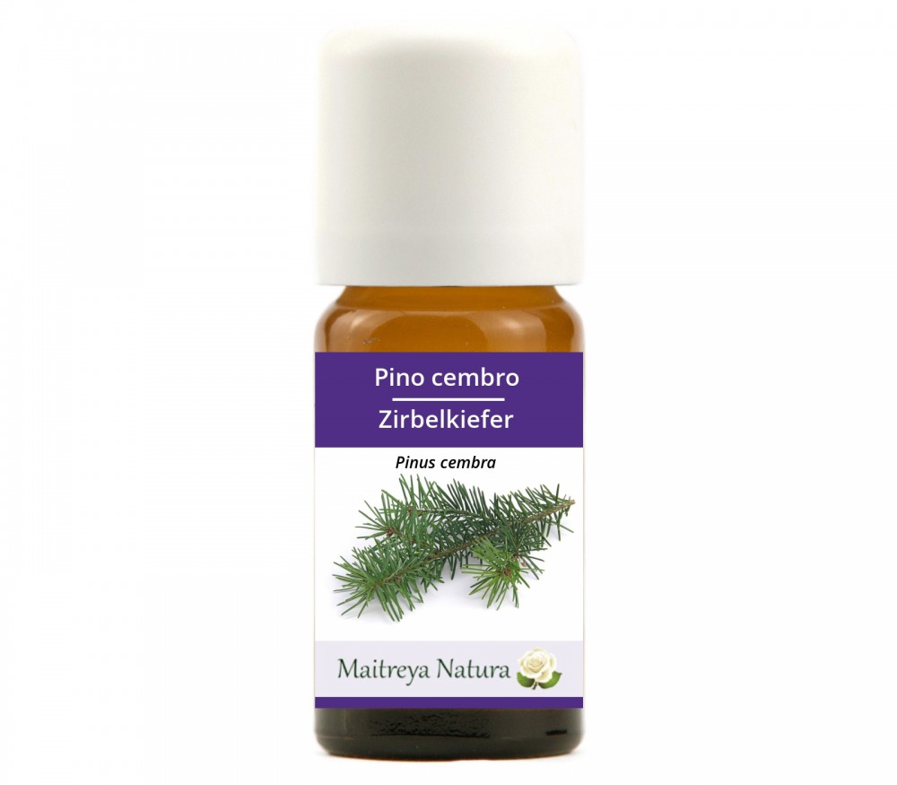 Vendita online: Pino cembro Vendita online: Pino cembro
