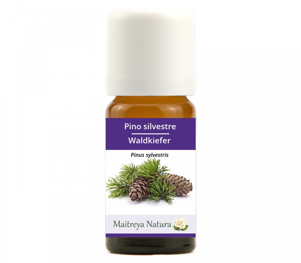 Vendita online: Pino silvestre Vendita online: Pino silvestre