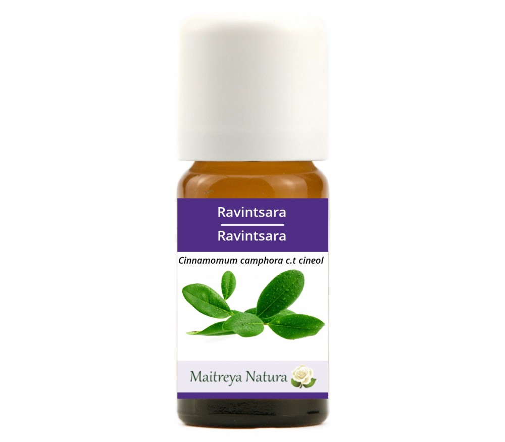 Vendita online: Ravintsara Vendita online: Ravintsara