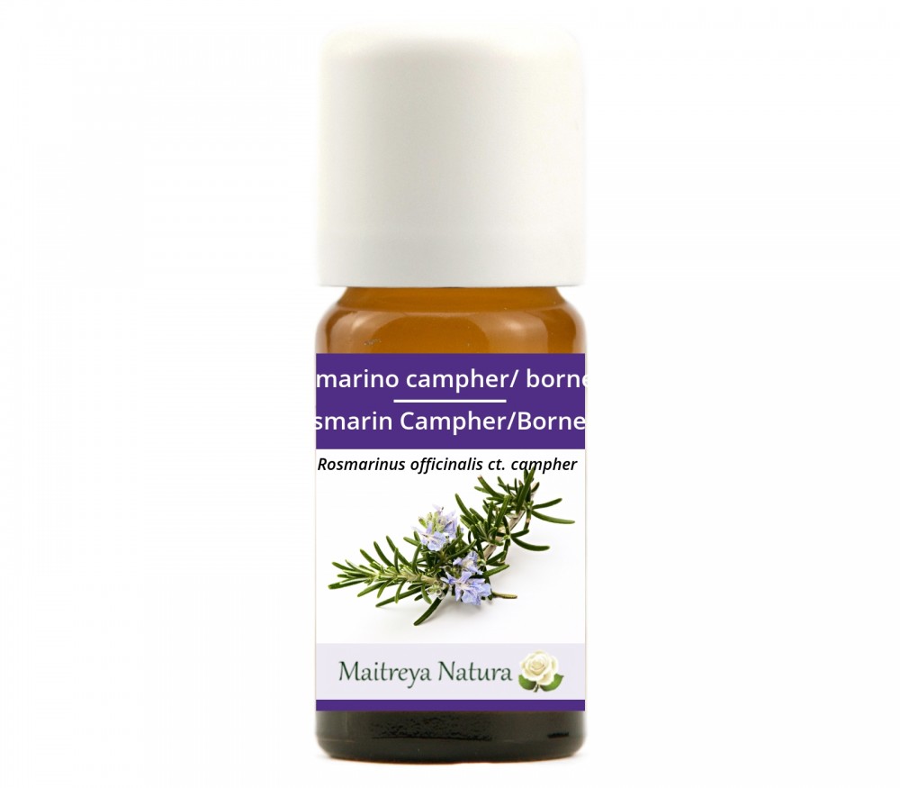 Vendita online: Rosmarino campher/ borneon Vendita online: Rosmarino campher/ borneon