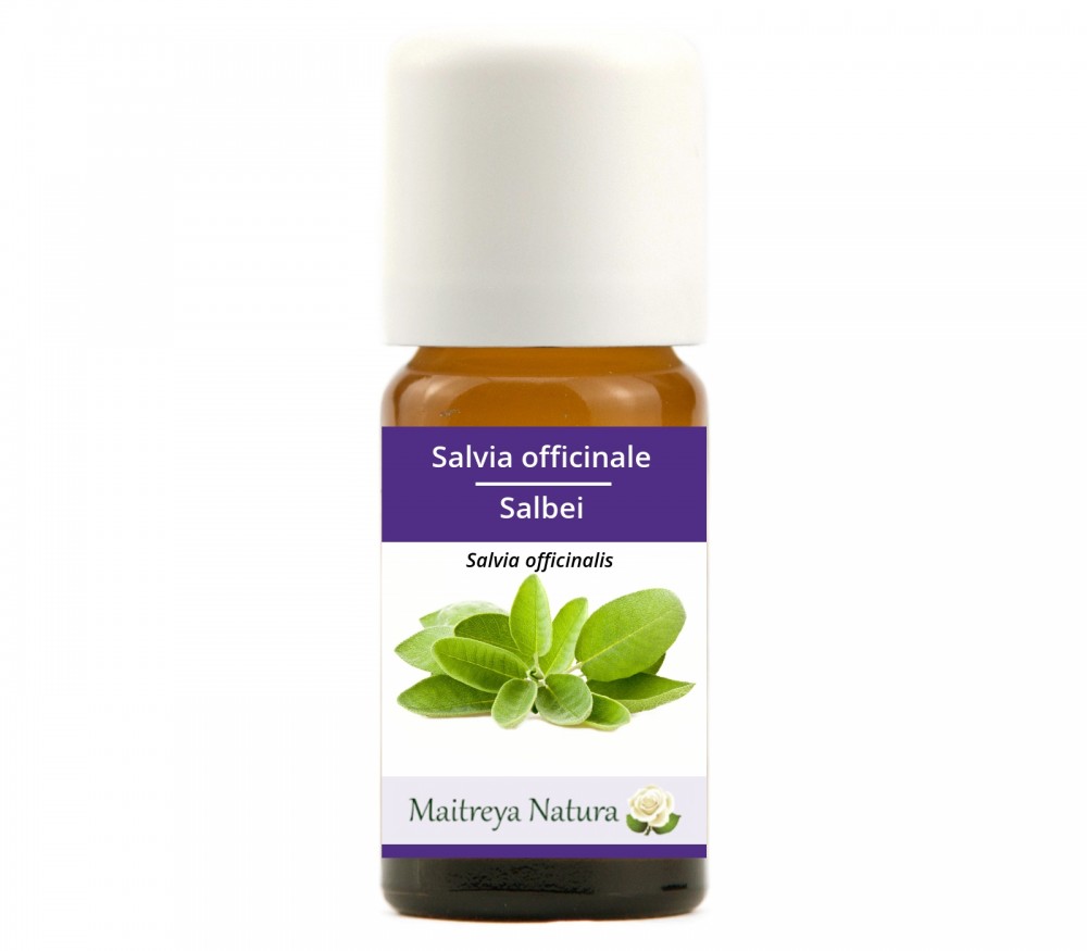 Vendita online: Salvia officinale Vendita online: Salvia officinale