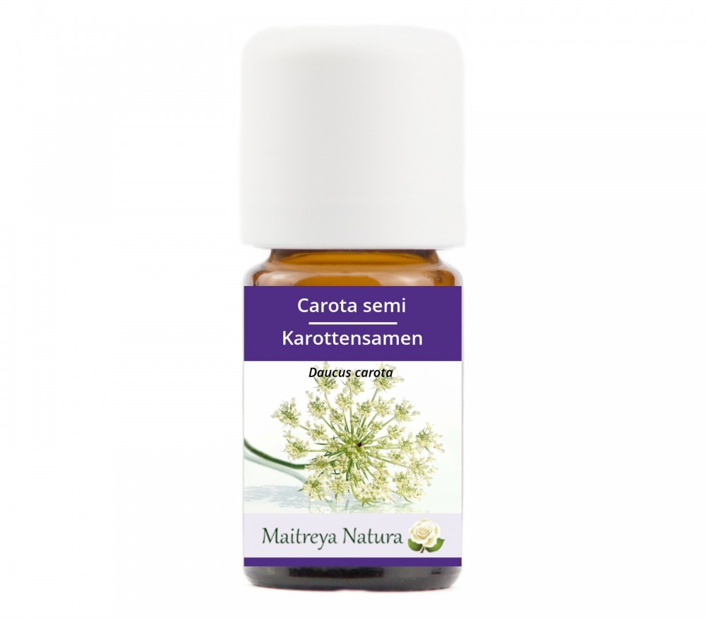 Vendita online: Carota semi Vendita online: Carota semi