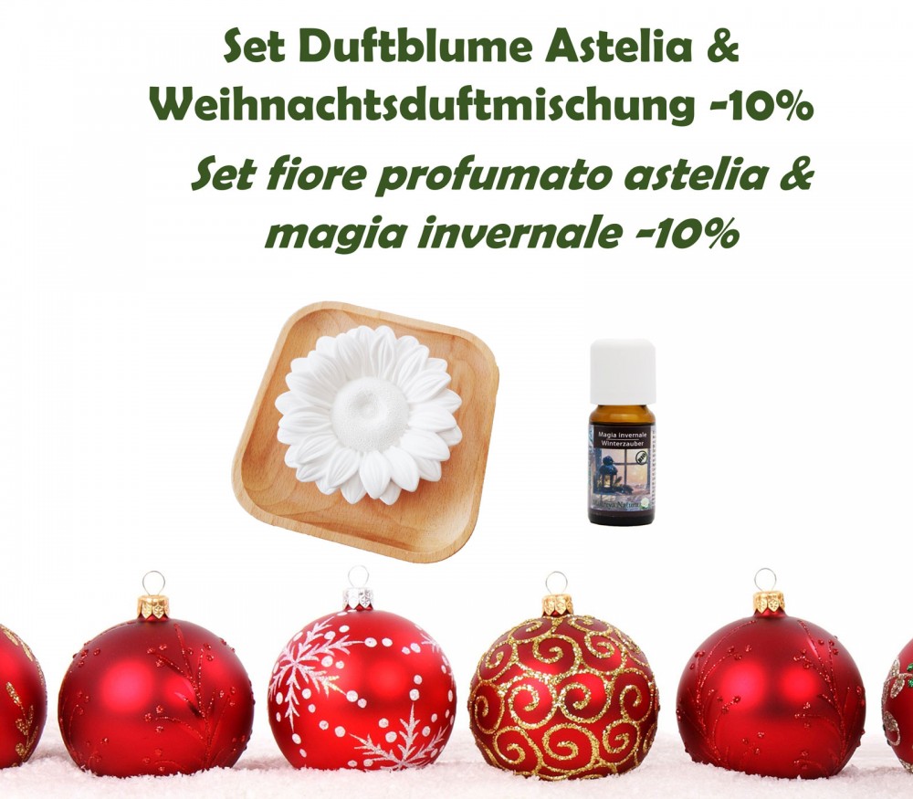 Vendita online: Finestrina 17 - Set Fiore profumato Astelia & Miscela Magia invernale Vendita online: Finestrina 17 - Set Fiore profumato Astelia & Miscela Magia invernale