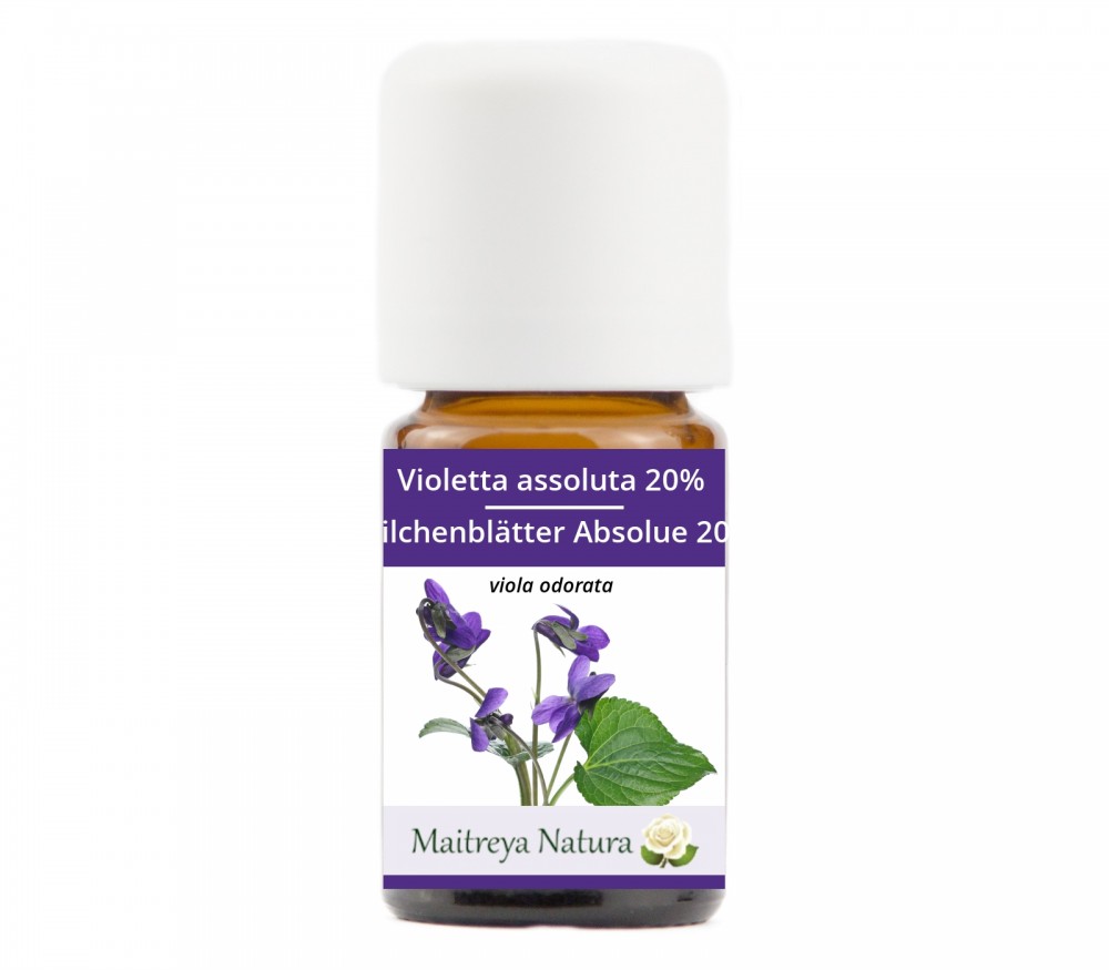 Vendita online: Violetta assoluta 20% Vendita online: Violetta assoluta 20%