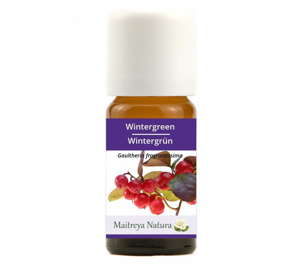 Vendita online: Wintergreen Vendita online: Wintergreen