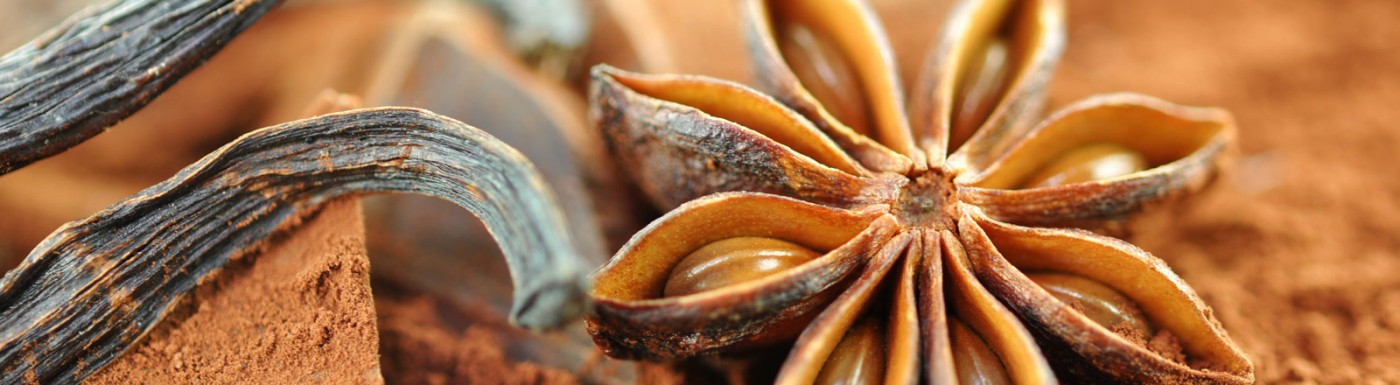 Sternanisöl – das ätherische Öl bei Verdauungsbeschwerden Anissamen (Sternanis)