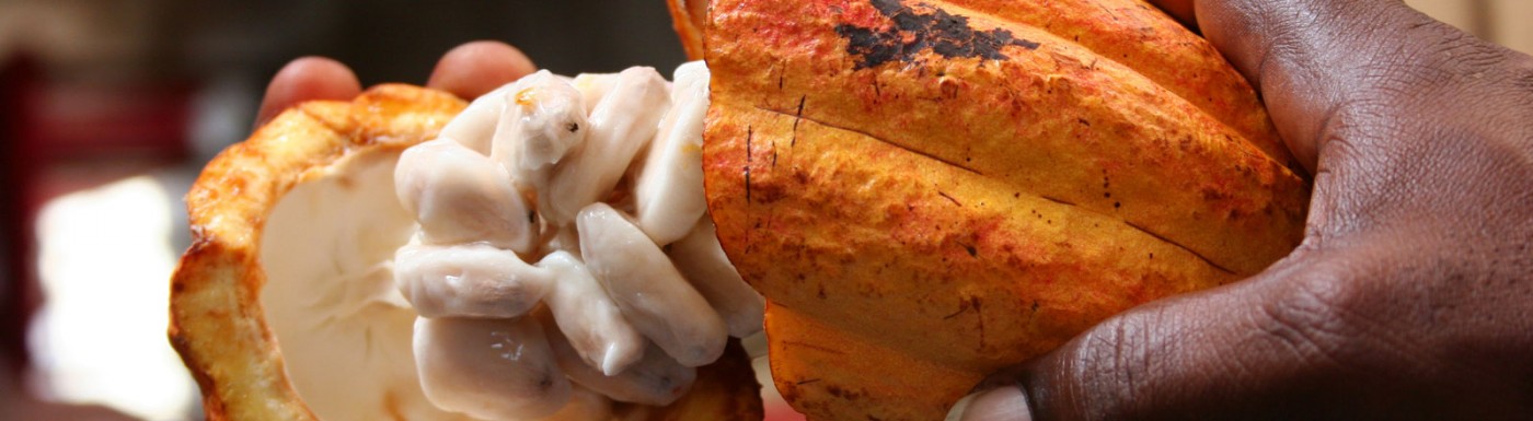 Burro di cacao Burro di cacao