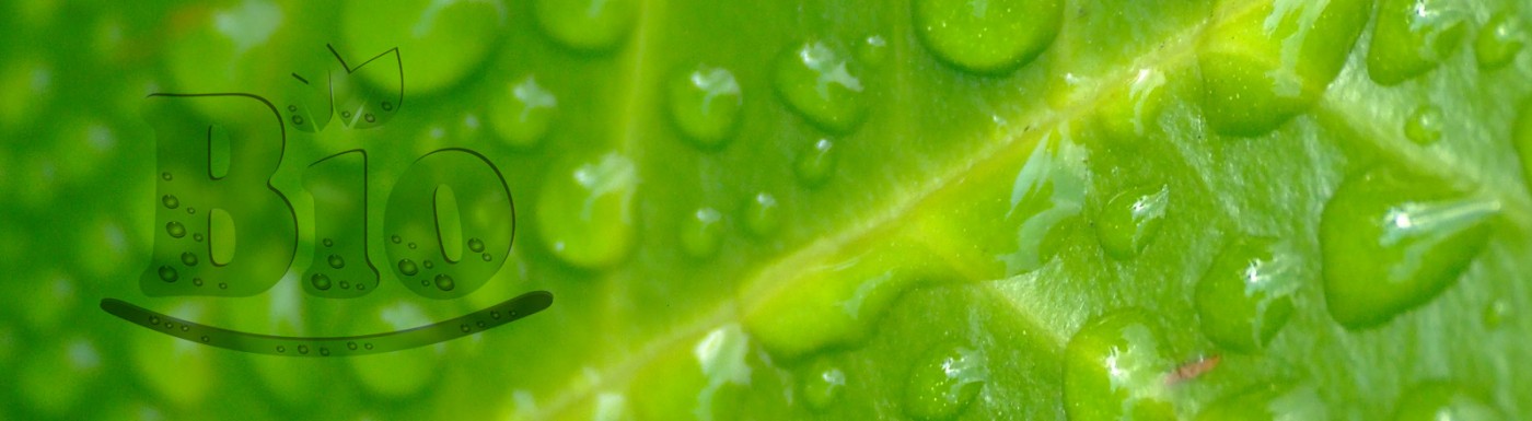 Certificato BIO Certificato BIO