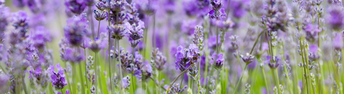 Condizioni generali di contratto Condizioni generali