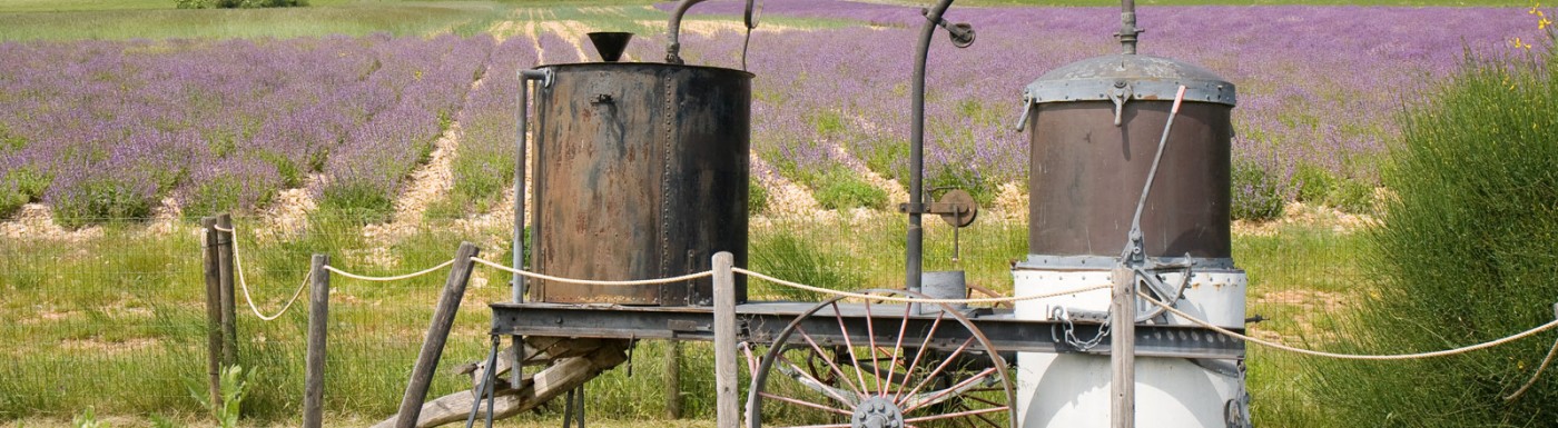 Metodi di distillazione di oli essenziali Metodi di distillazione