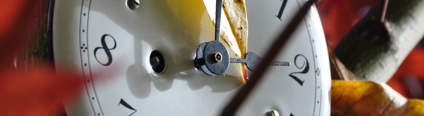 Lieferzeiten Lieferzeiten